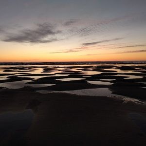 Meet your Posher, Mel